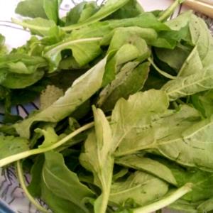 Quantas calorias em 1 Xícara (20,0 G) Rúcula?