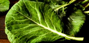 Quantas calorias em 1 Xícara (36,0 G) Couve, crua?