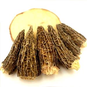 Quantas calorias em 1 Xícara (66,0 G) Cogumelo morel, cru?