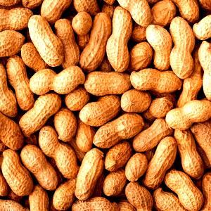 Quantas calorias em 100 G Amendoim com Casca (Casca Não Consumida)?
