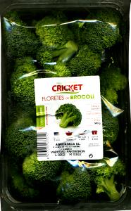 Quantas calorias em 100 g Brócolis Floretes?