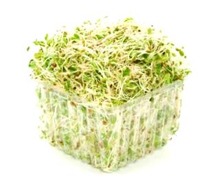 Quantas calorias em 100 g Brotos de Alfafa?