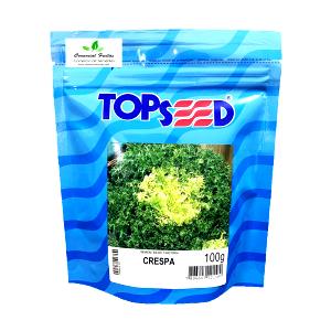 Quantas calorias em 100 G Chicória?