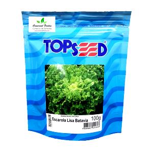 Quantas calorias em 100 G Escarola?