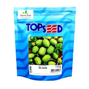 Quantas calorias em 100 G Maxixe?