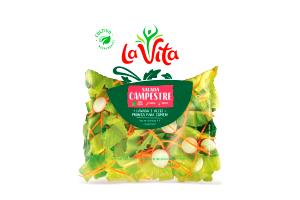 Quantas calorias em 100 g Salada Campestre?