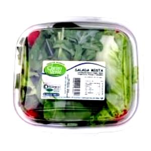 Quantas calorias em 100 G Salada Verde Mista?