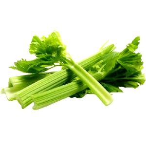 Quantas calorias em 100 g Salsão?