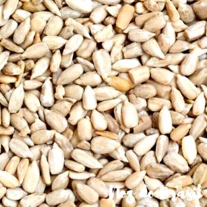 Quantas calorias em 100 Gramas Sementes de noz-dos-maias, cruas?
