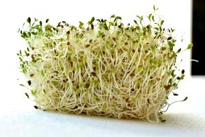Quantas calorias em 70 g Broto de Alfafa?