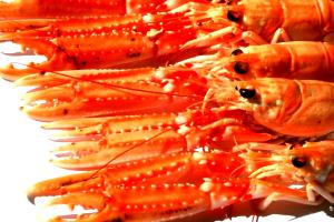 Quantas calorias em 8 Lagostins Lagostim?